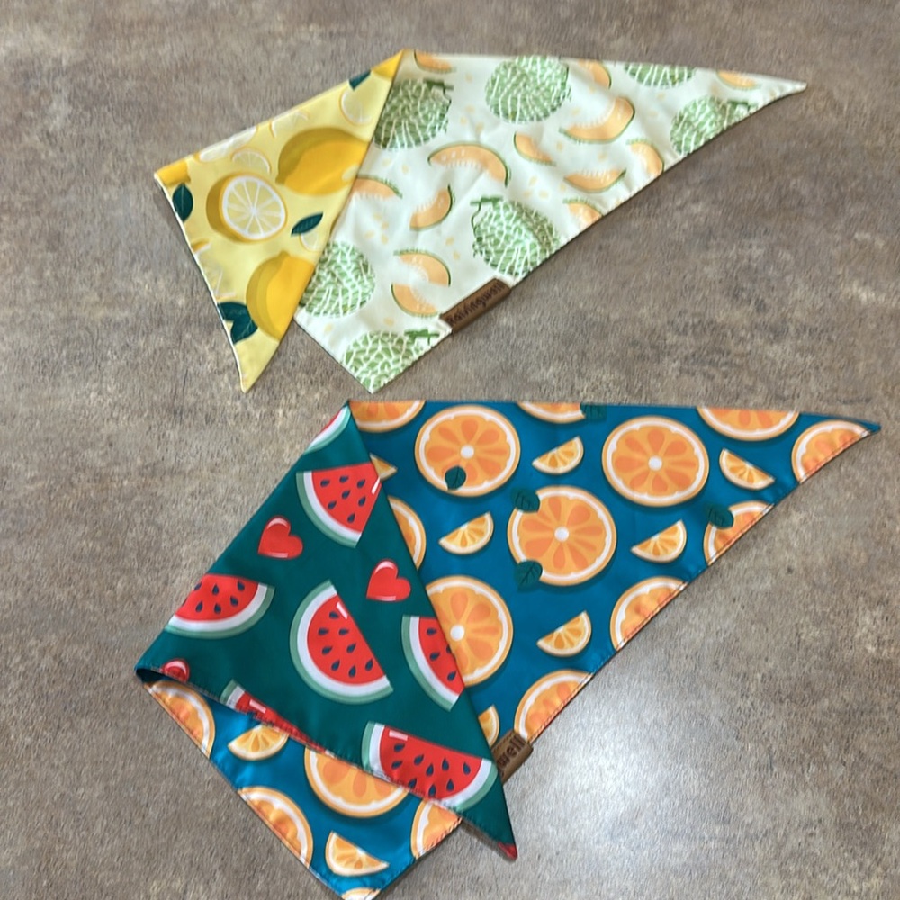2 Raising Well pet bandanas they are both reversible - Picture 4 of 5